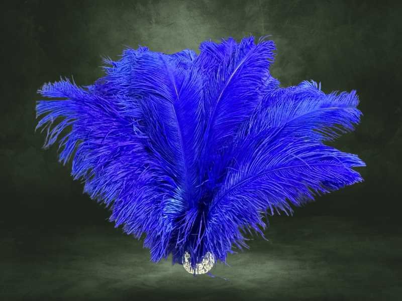 Pluma Chorona G de avestruz natural, boa opção para peças de destaque em roupas