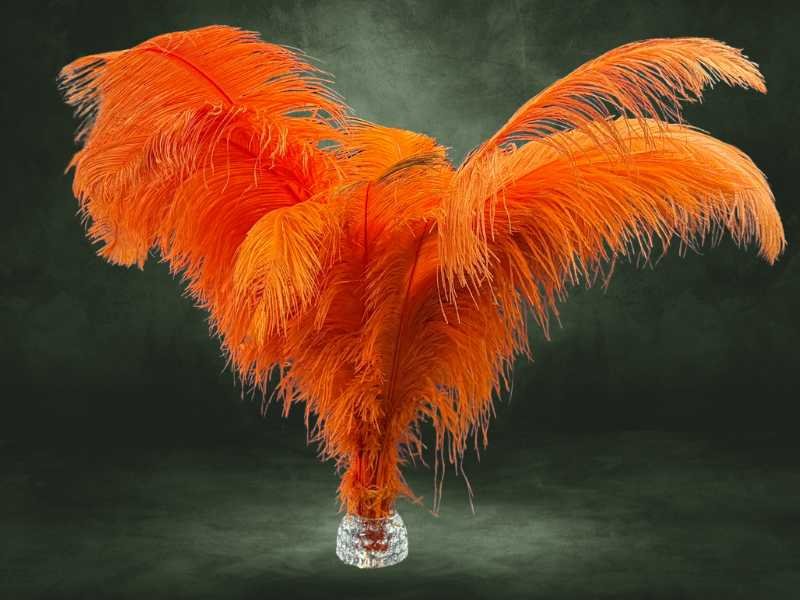 Pluma Chorona GG de avestruz — a maior da linha, peça única de destaque para figurino