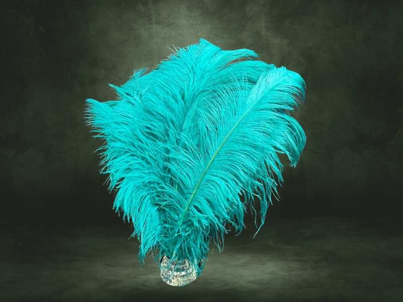 Pluma Chorona M de avestruz natural, tamanho intermediário para figurino e roupas
