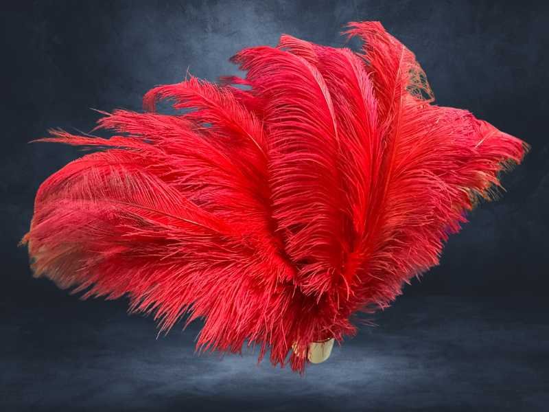 Pluma Espigão Especial de avestruz natural, mais encorpada, para roupas e figurino de destaque