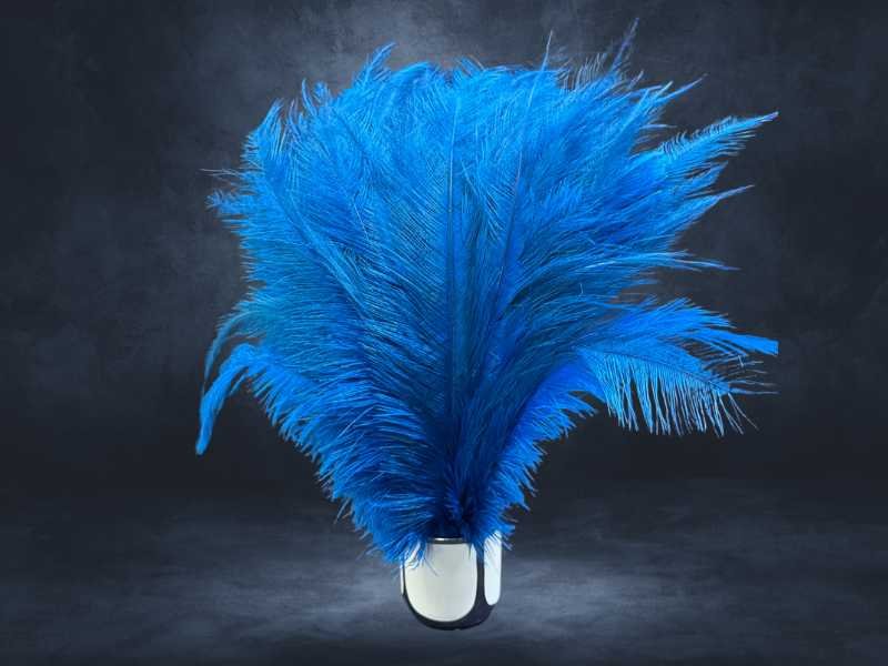 Pluma Palito de avestruz natural, fina e reta, para roupas e figurino