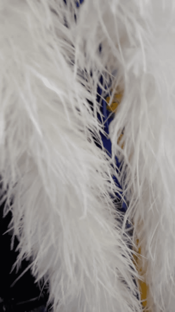 branco boas de plumas de avestruz do Palacio das Plumas