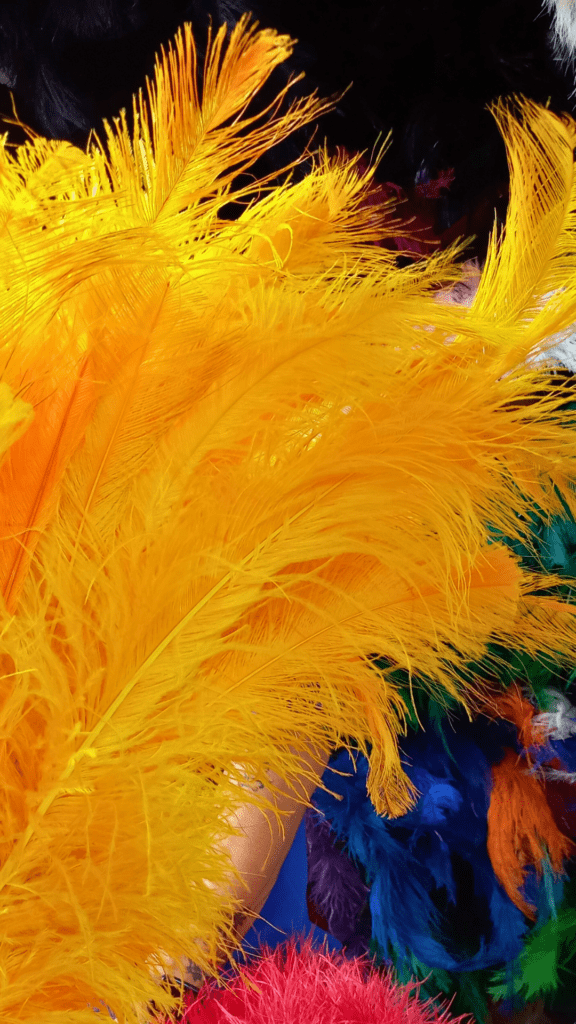 Plumas de Avestruz Amarelas